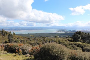 Tolaga Bay-The Mount-Cooks Beach-024